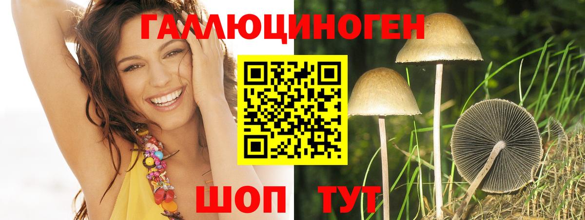 продажа наркотиков  Галлюциногенные грибы MAGIC MUSHROOMS  Вход с VPN  Новый Уренгой 